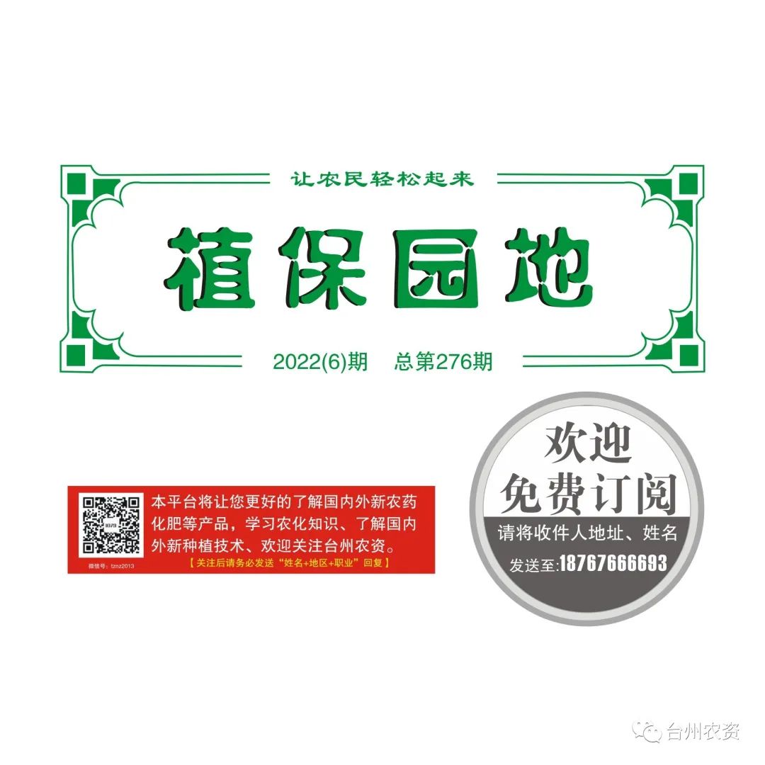 梅雨季節(jié)來臨，柑橘即將穩(wěn)果，注意管理好夏梢，合理施肥打藥