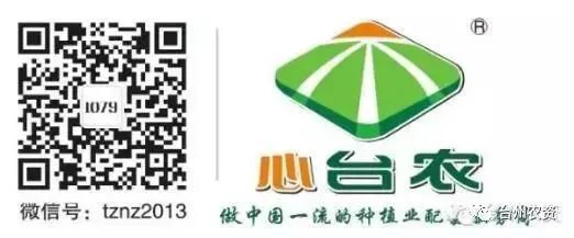 果實(shí)接近成熟，警惕柑橘表面各種油胞病